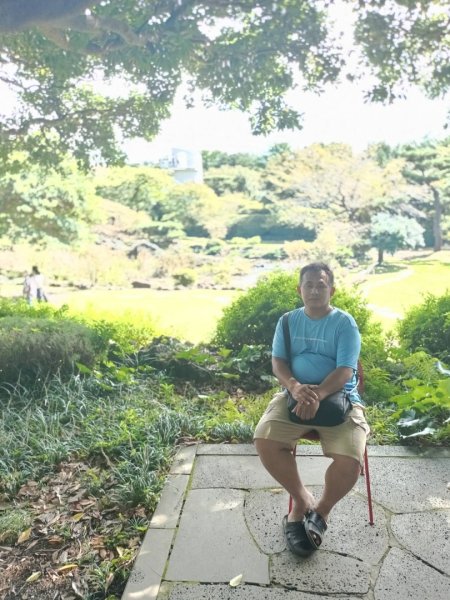 韓國濟州島：山茶花之丘2912441