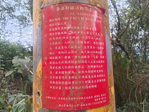 盆貿里山三盆連走2749606