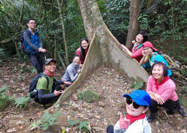 東勢大崙、東勢坑山、觀音湖山O走2986260