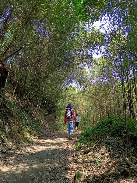【苗栗-臺灣百大必訪步道】泰雅族抗日的馬那邦山登山步道1347675