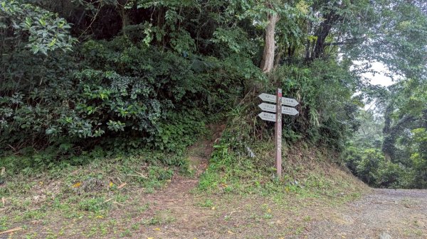 114.06.21大竹坑山-小粗坑山-石門山之旅2818879