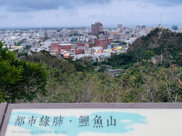 1140405台東鋰魚山步道2754223