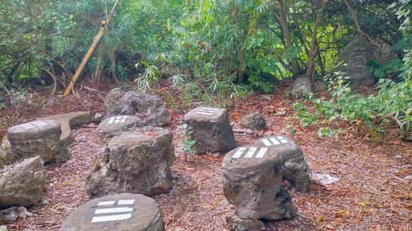 柴山之美~2934557