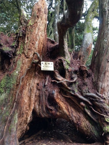 2020/09/13高島縱走P繞1101684