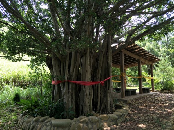 竹坑南寮登山步道1440857