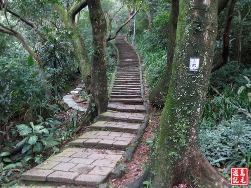 【台北市】象山(一線天.永春崗.六巨石)環狀步道