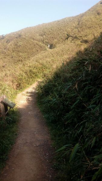 聖母登山步道O型走332364