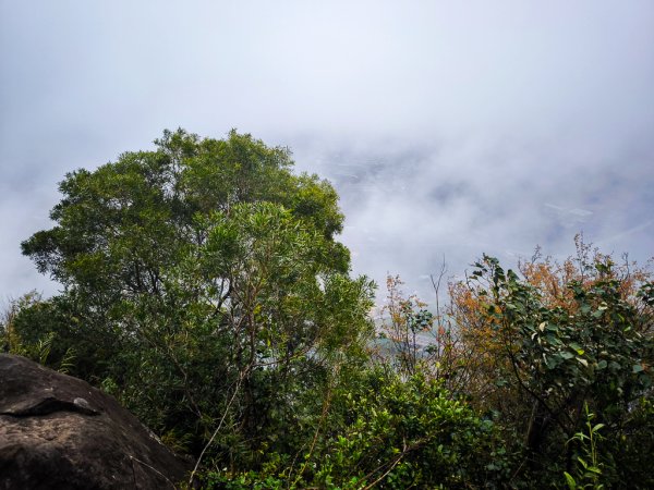 2025-03-08 汶水三山：金童山、汶水山、玉女山 連走2736513