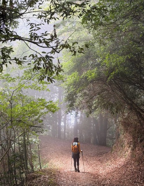 雪霸國家公園 雪見遊憩區 東洗水山2928579