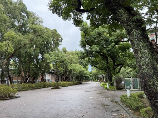 [2026臺北健走趣-11/50] 2026_0808_臺大舟山路3112202