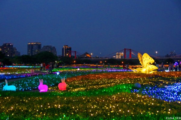 板橋蝴蝶花園—光之饗宴949673