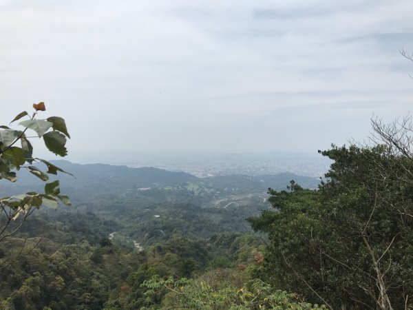 頭嵙山攻頂577445