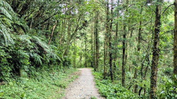 坪溪古道,石空古道2873464
