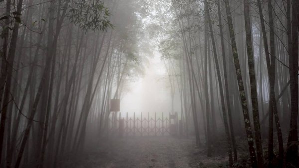 集集大山步道2886275