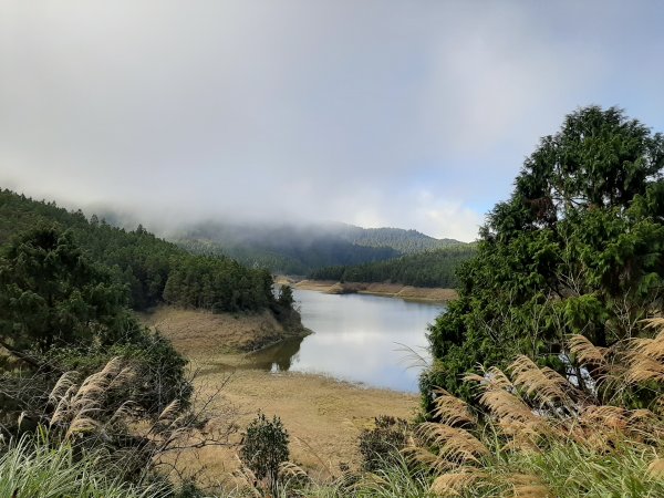 山毛櫸、翠峰湖。明年見1173827