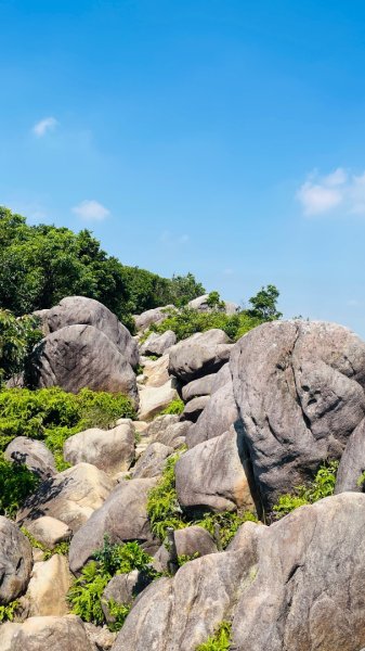 金面山親山步道2867841