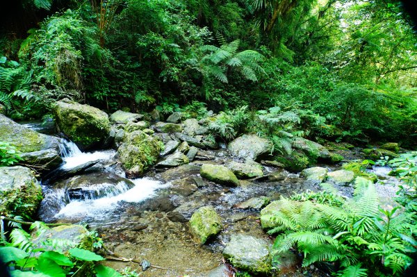 新北 烏來 波露南山3036008