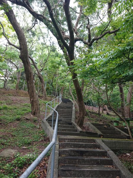 功維敘隧道-貓狸山公園2754520