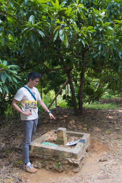 [嘉義]蘭潭水庫、紅毛埤山2757637