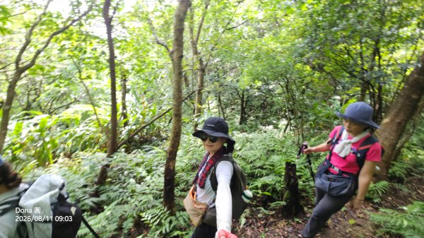 艋舺崙古道上新路尾山連走大平林山古厝O走3102736