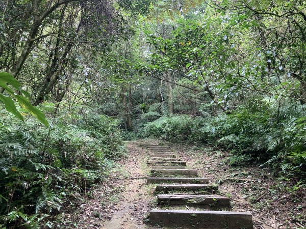 土庫岳2527763