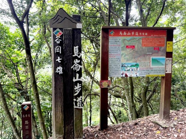 【中級山】五星級步道，谷關七雄馬崙山（八壯士進，斯可巴出）2744967