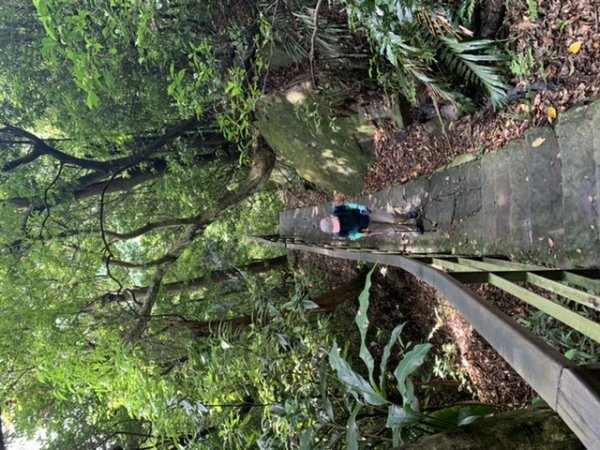 台北大縱走第四段1667281