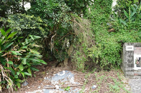 臺北 北投 嘎嘮別山、稻香山、貴子坑山2760550