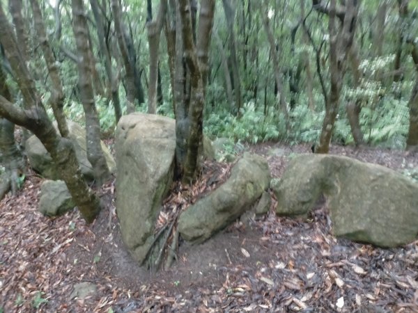 壹北大縱走第四段：風櫃嘴至大湖公園2809583