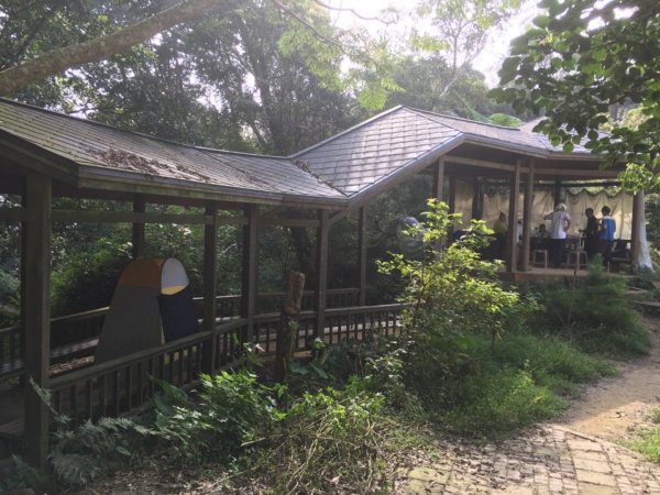 20181026-大凍山初登444954