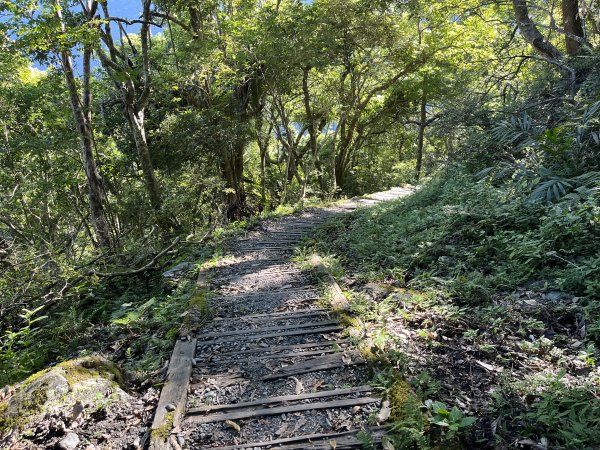 [玉山尋寶任務-03/12] 2025_0810 瓦拉米步道2857482