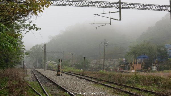 《苗栗》台鐵舊山線｜三義勝興鐵道覓境及挑柴古道O繞202501192693551