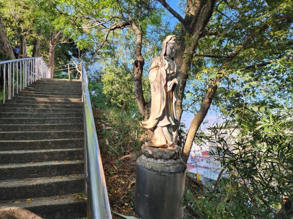 小百岳No.42⛰南觀音山2924856