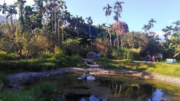 2018 12/2 拉索埃湧泉879503