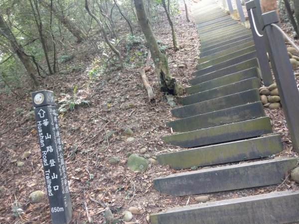 瑞井串聯環保公園登山步道1909152