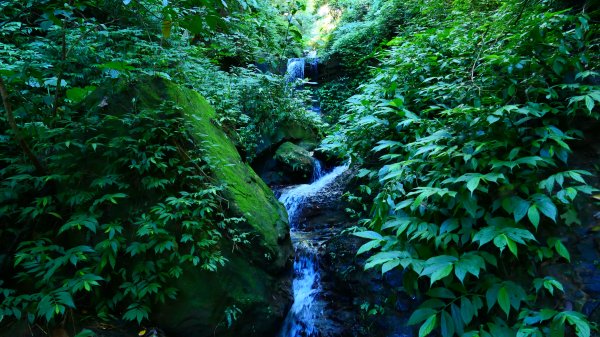 大尖山瀑布2932165