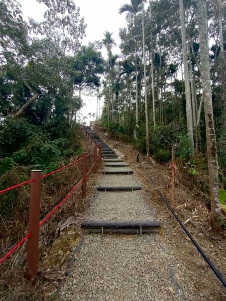 嘉義［阿拔泉山稜線步道］+太平雲梯2235723