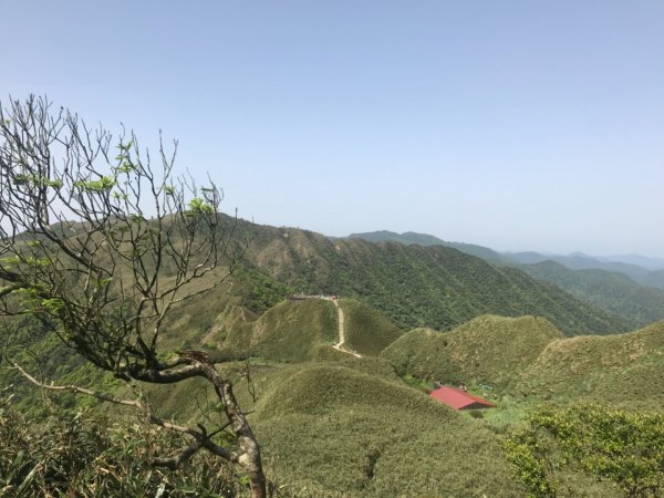 抹茶山、三角崙山、聖母山莊2115183