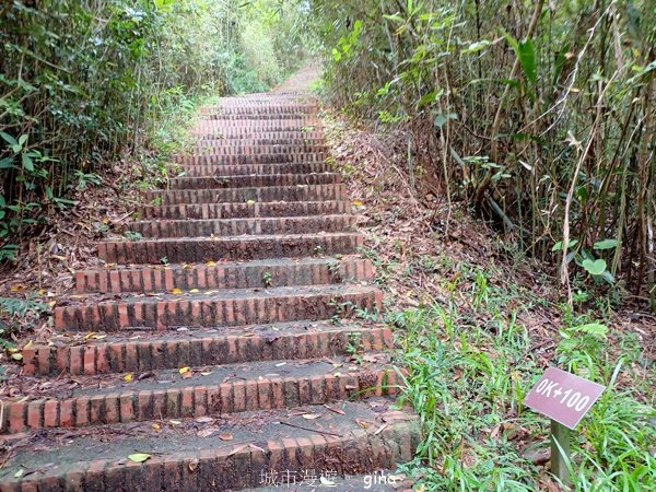 【新竹峨嵋】老少咸宜的步道。 十二寮古道2631196