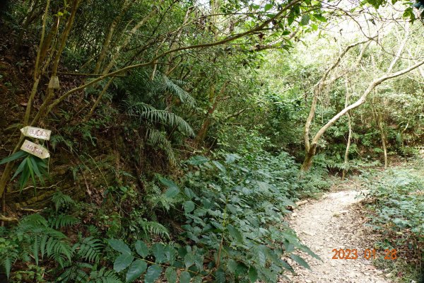 屏東 瑪家鄉 白賓山、真笠山2020153