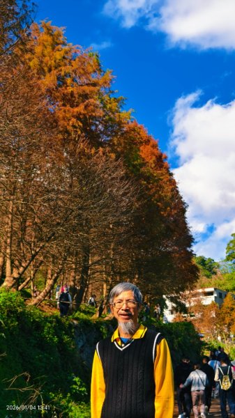 #花卉試驗中心 #永公路500巷 #平菁街42巷 #原住民公園 #士林官邸 1/42976537