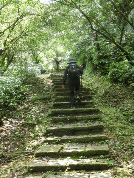 平湖森林步道．內平林山109393