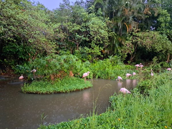 2026動物園祖父母節活動（夜間限定版）3111337