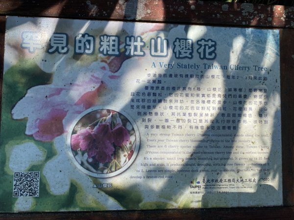 《探訪內雙溪三圳流向｜大崎頭步道 × 鵝尾山》2877196