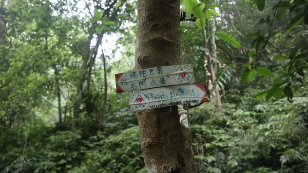 雙石縱走登山健行趣(小百岳24號&25號)2169513