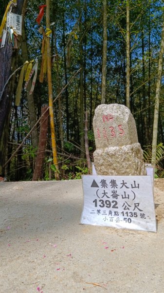 集集大山慢活行（孟宗竹林登山口）1627447