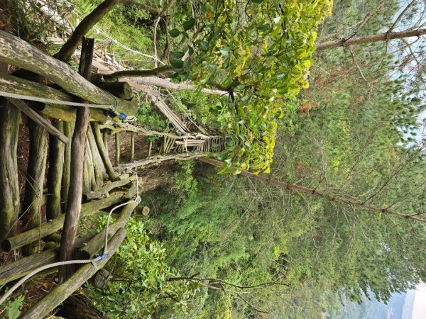 台中大坑4號登山步道2751098