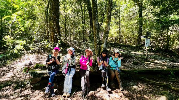 🌈8/16（六）遠的要命的王國~鎮西堡B區神木巡禮✨FB：熊熊趴爬走🌈2861633