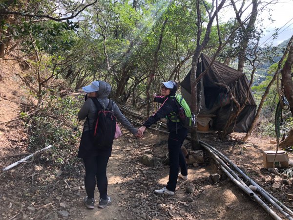 2020.03.08里龍山878279