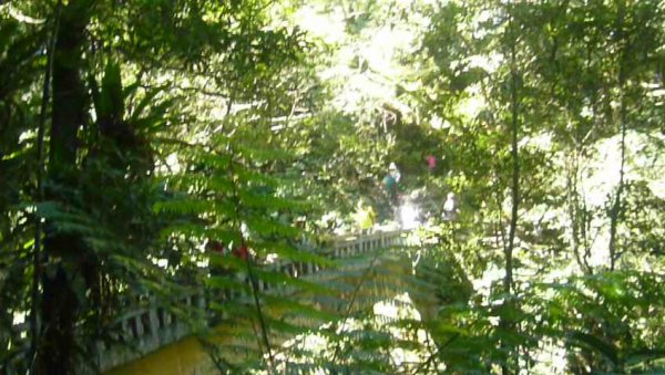 山林美境：滿月圓國家森林遊樂區處女瀑布1116098